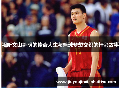 视听文山姚明的传奇人生与篮球梦想交织的精彩故事